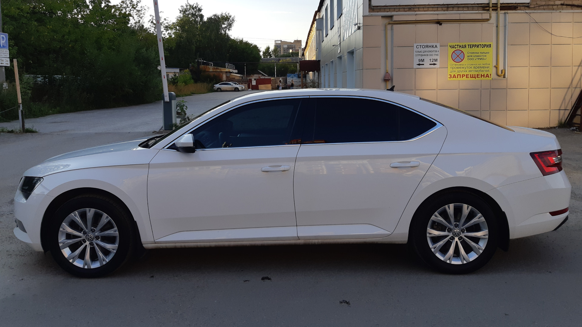 Skoda Superb Mk3 1.4 бензиновый 2018 | Candy White на DRIVE2