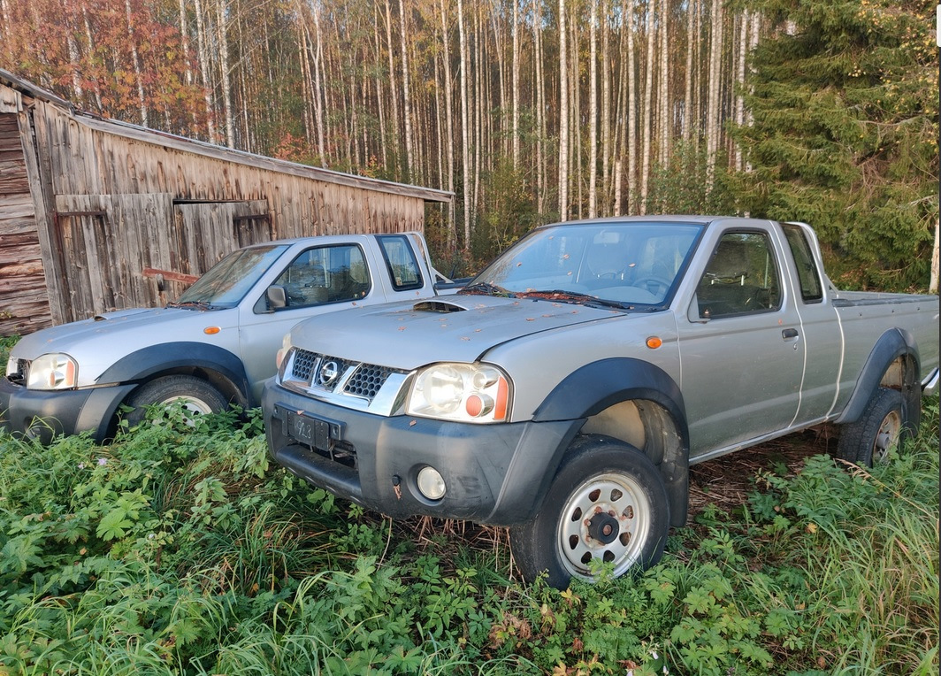 Ниссаны. Finland. — Сообщество «Брошенные Машины» на DRIVE2