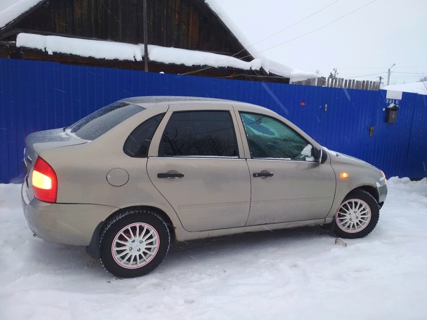 бежевая калина