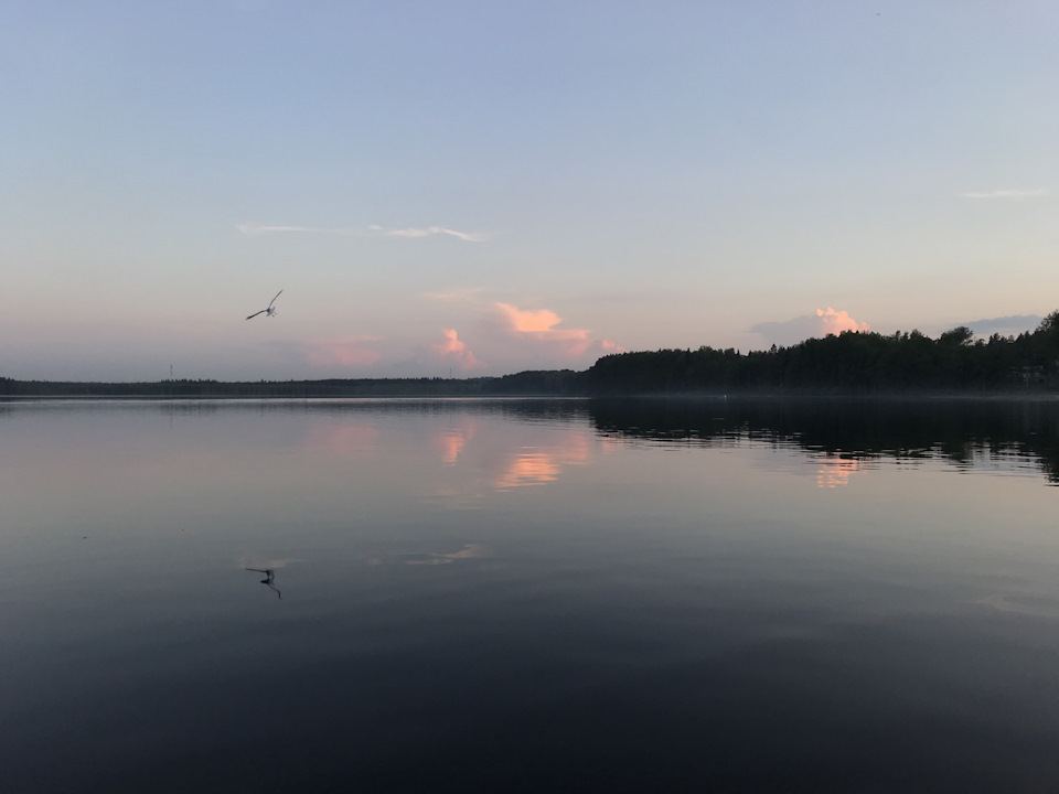 Замена приводного натяжителя ремня в СПб 😏 — Volkswagen Polo Mk5, 1,4 л ...