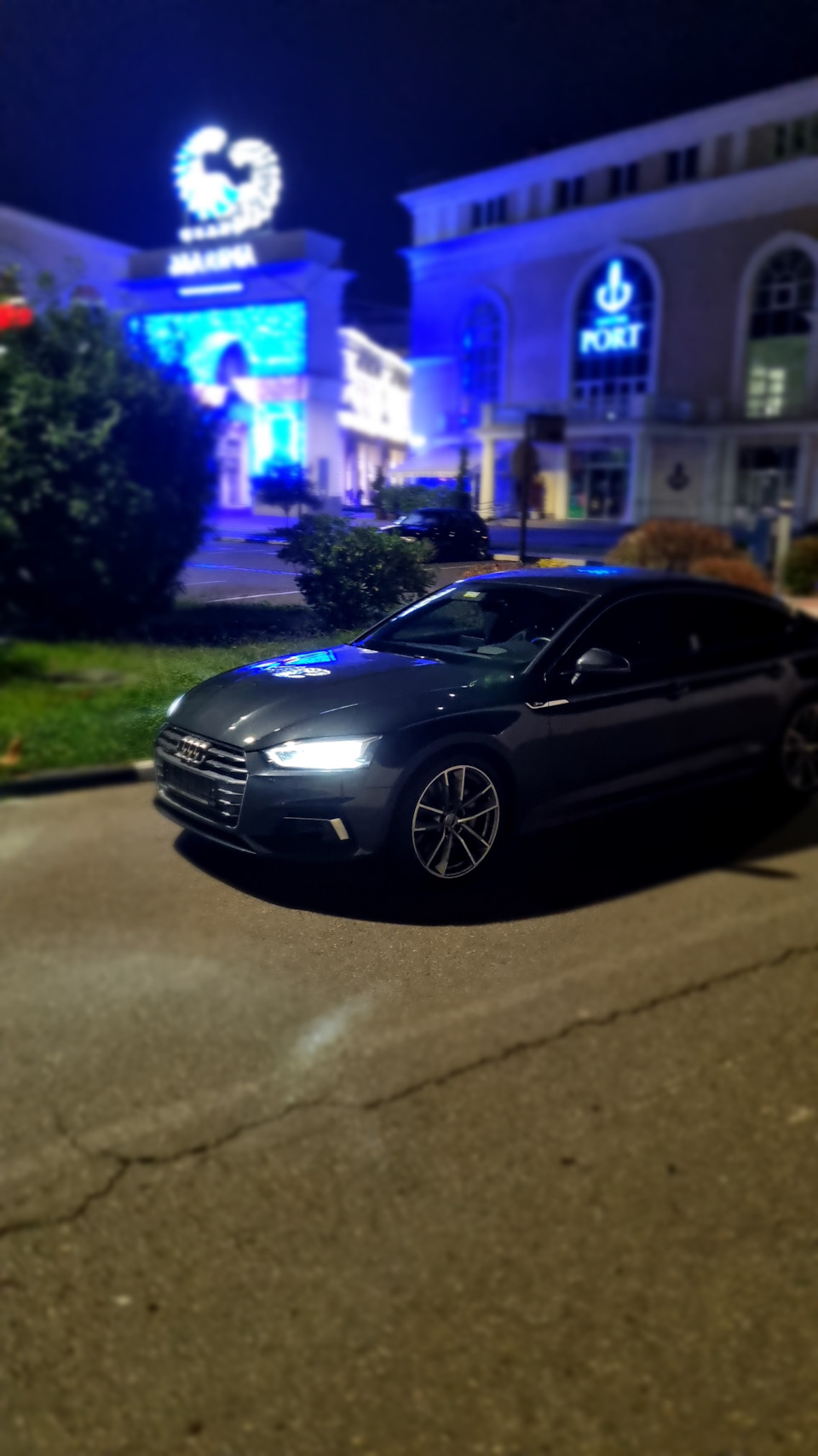 новая игрушка, или как я остался временно без GTI — Volkswagen Golf Mk7  GTI, 2 л, 2019 года | покупка машины | DRIVE2