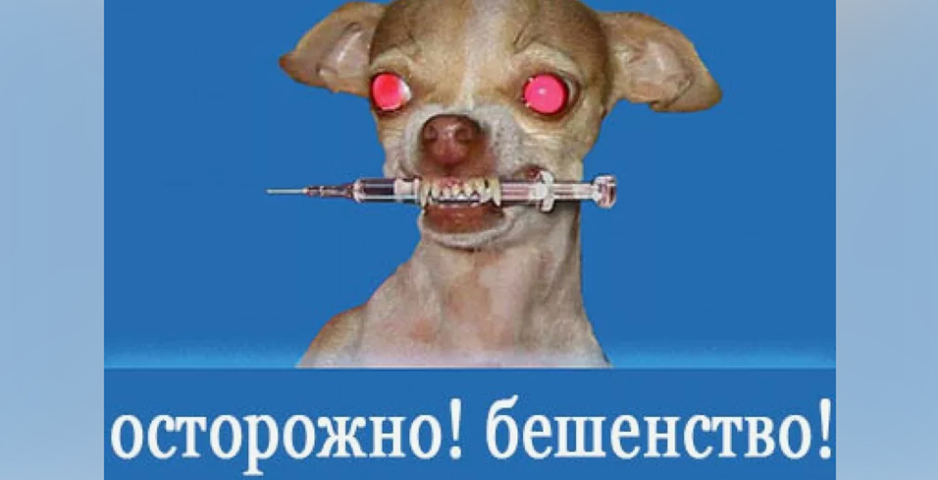 Животные с бешенством