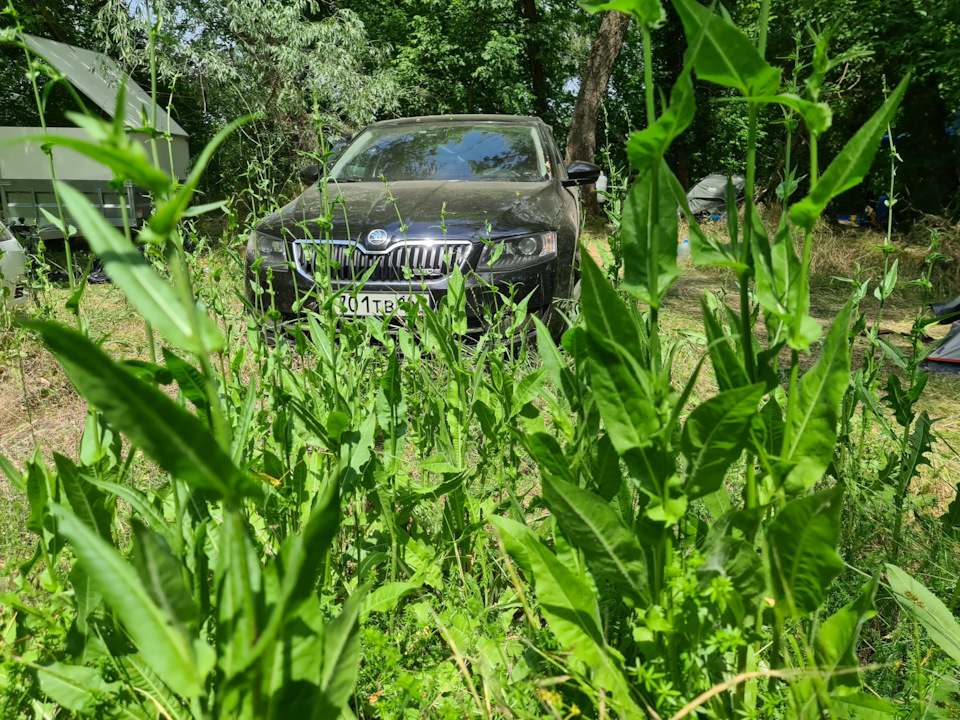Фото в бортжурнале Skoda Octavia A7 Mk3