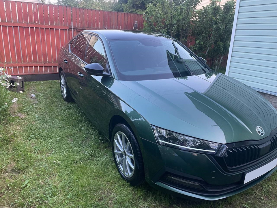 Полировка вручную — Skoda Octavia A8 Mk4, 2 л, 2021 года | стайлинг ...