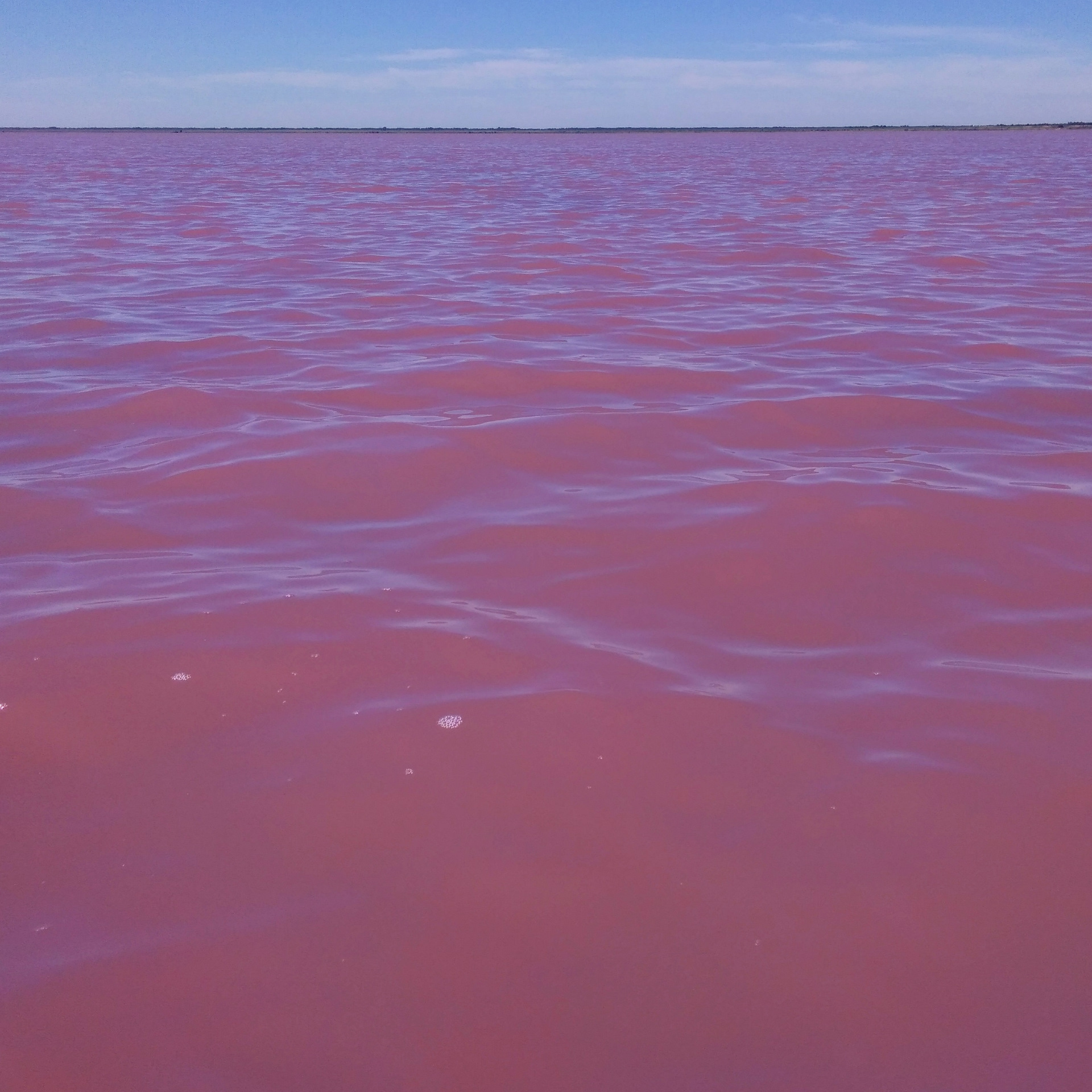 Розовое озеро Казахстан