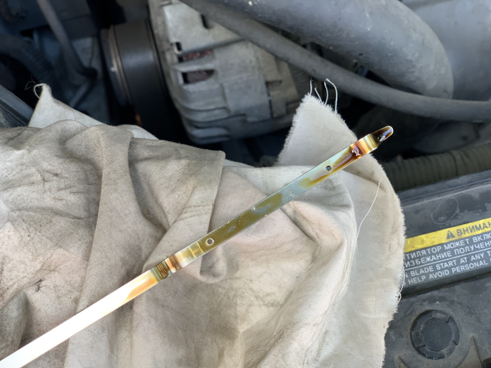 Какой расход масла на моторе 2,5 Рено Колеос? — Renault Koleos (1G), 2 ...