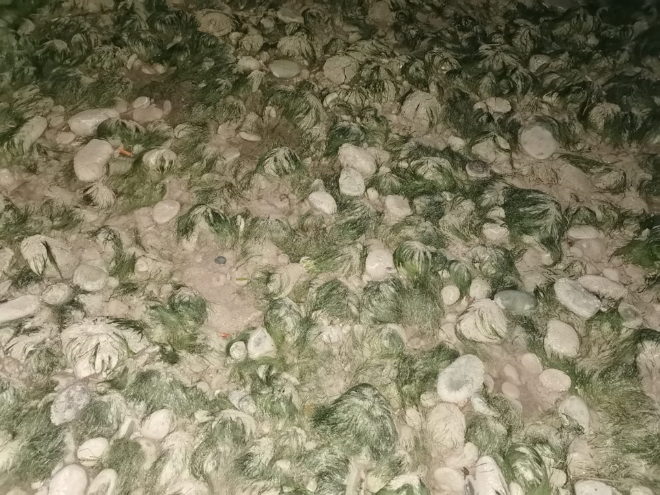 Сбежавшее море или поездка на одной 16 докатке — Toyota Mark II (70), 2 ...