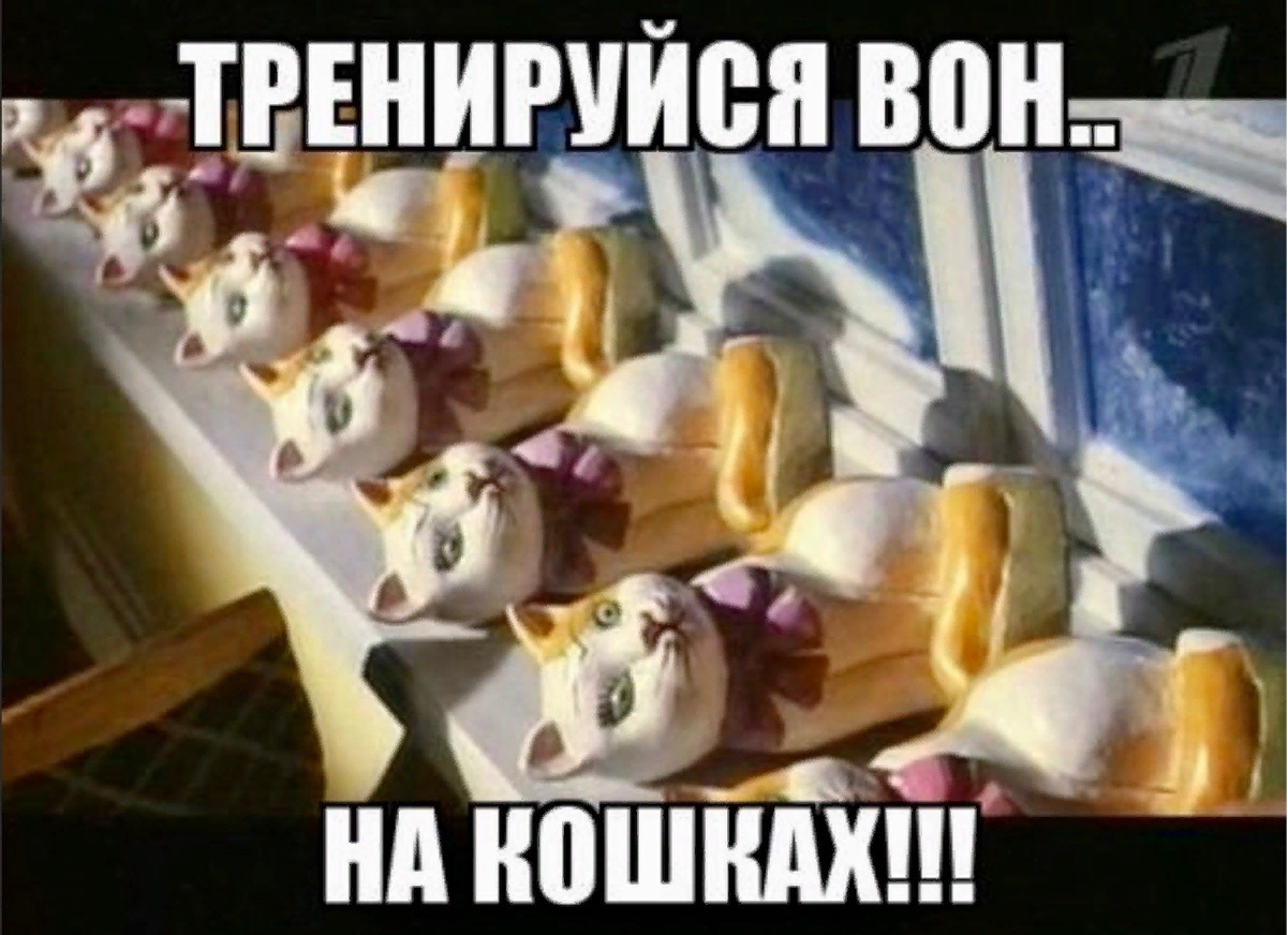 Тренируйся на кошках