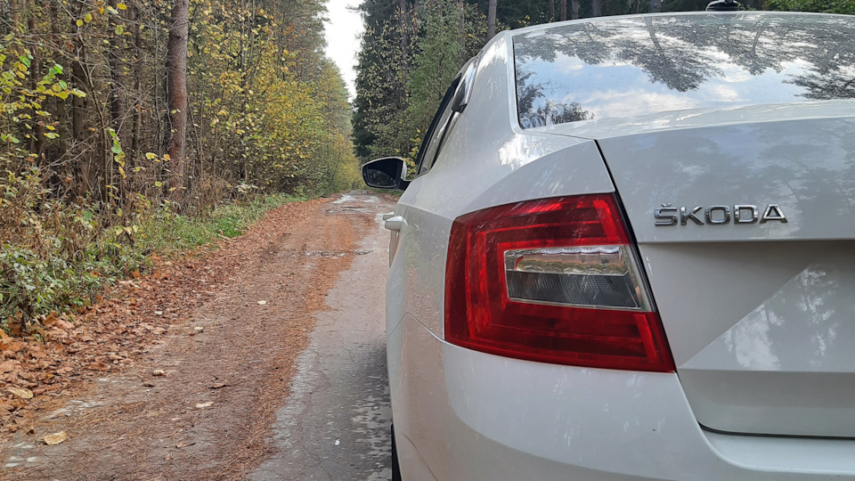 Нужен совет по свечам зажигания на 1.2 — Skoda Octavia A7 Mk3, 1,2 л ...