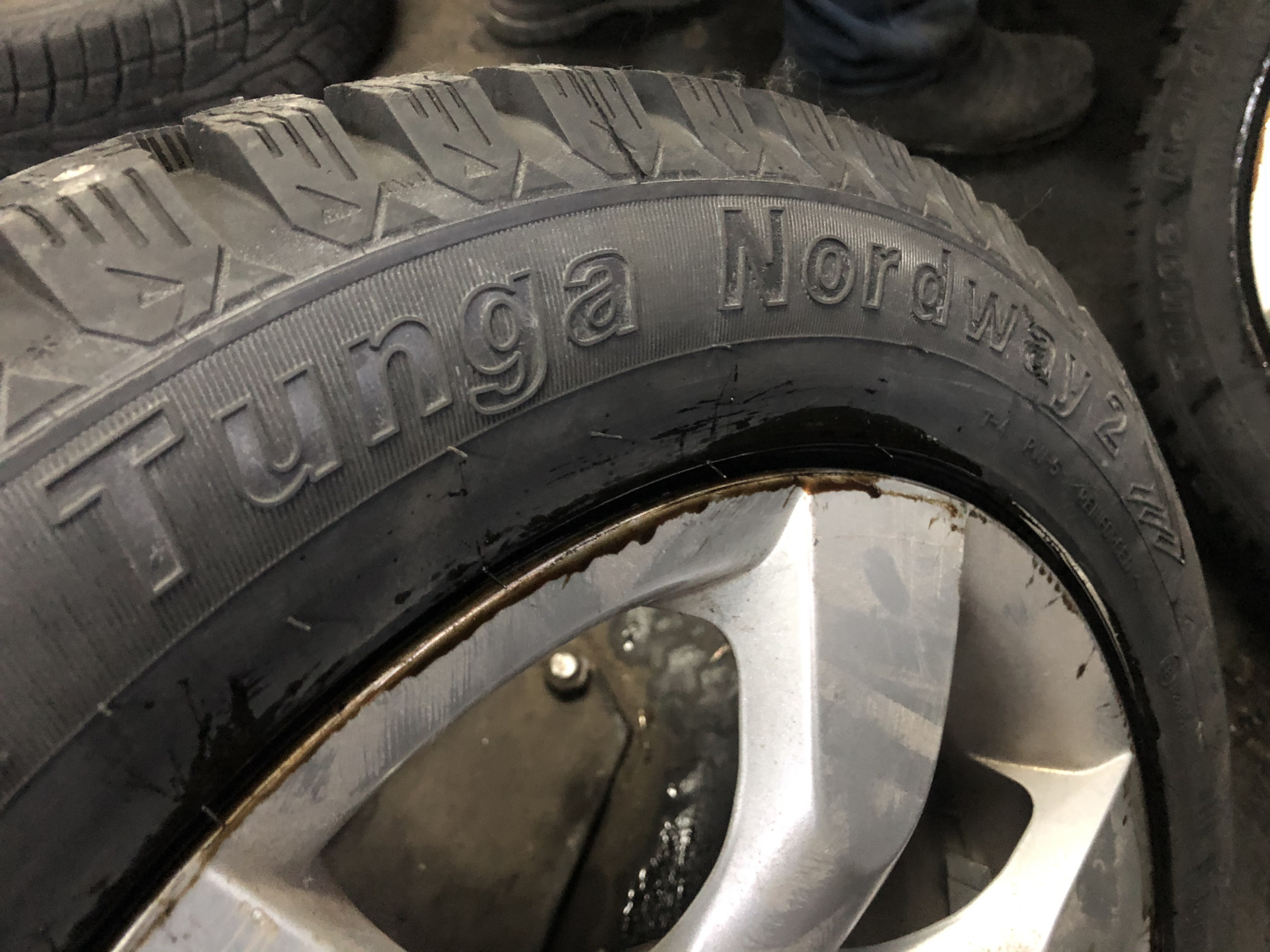 Новое приобретение к зиме! — Peugeot 307, 2 л, 2006 года | шины | DRIVE2