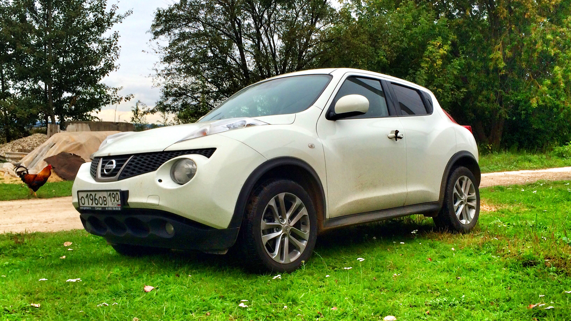 Плюсы минусы ниссан. Ниссан Жук 1.6. Ниссан Juke 1.6. Ниссан Жук 1980. Nissan Juke старый.