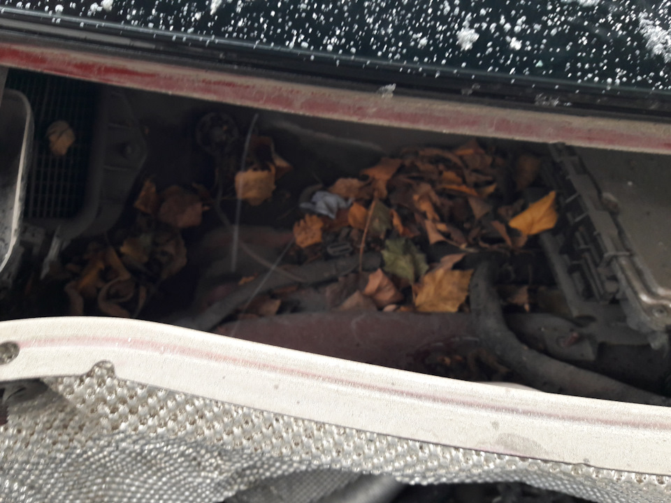 Фото в бортжурнале Volkswagen Tiguan (1G)