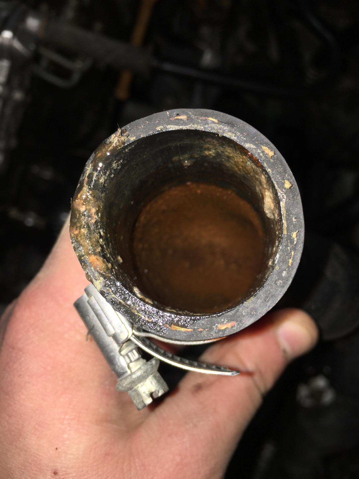 жидкость из выхлопной трубы. антифриз в выхлопной трубе. антифриз в выхлопной трубе. 3. ямз 236 масло в тосоле.