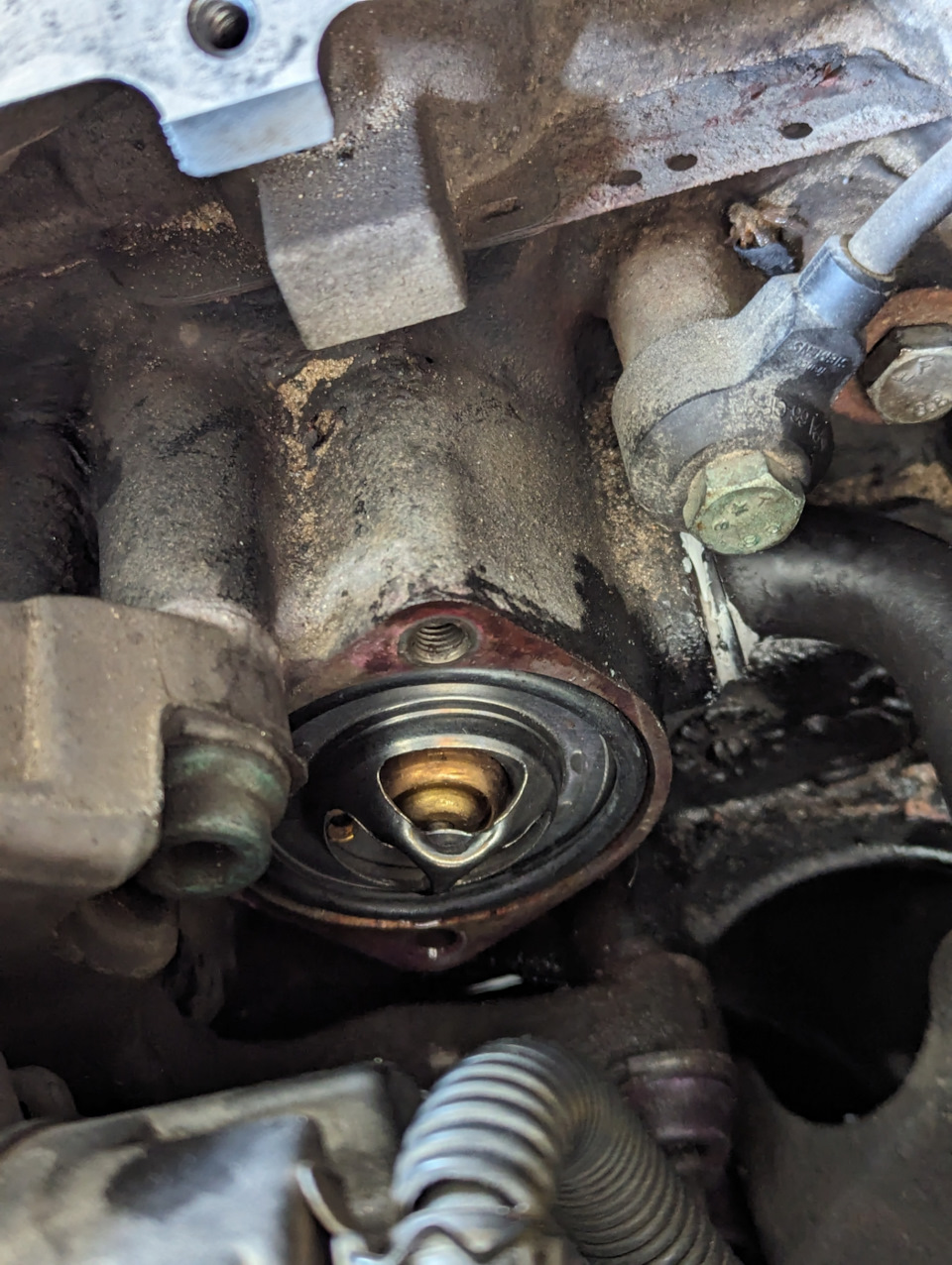 Устанавливаем термостат Gates TH00182G2 и кольцо 761109 — Audi A4 (B6). Запчасти на фото: TH00182G2