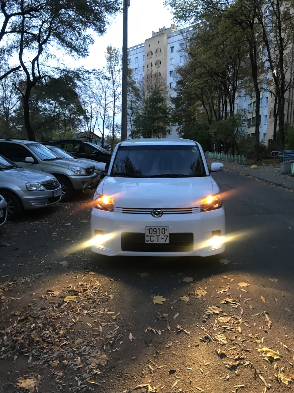 Номер, и туманки — Scion xB II, 2,4 л, 2008 года | стайлинг | DRIVE2