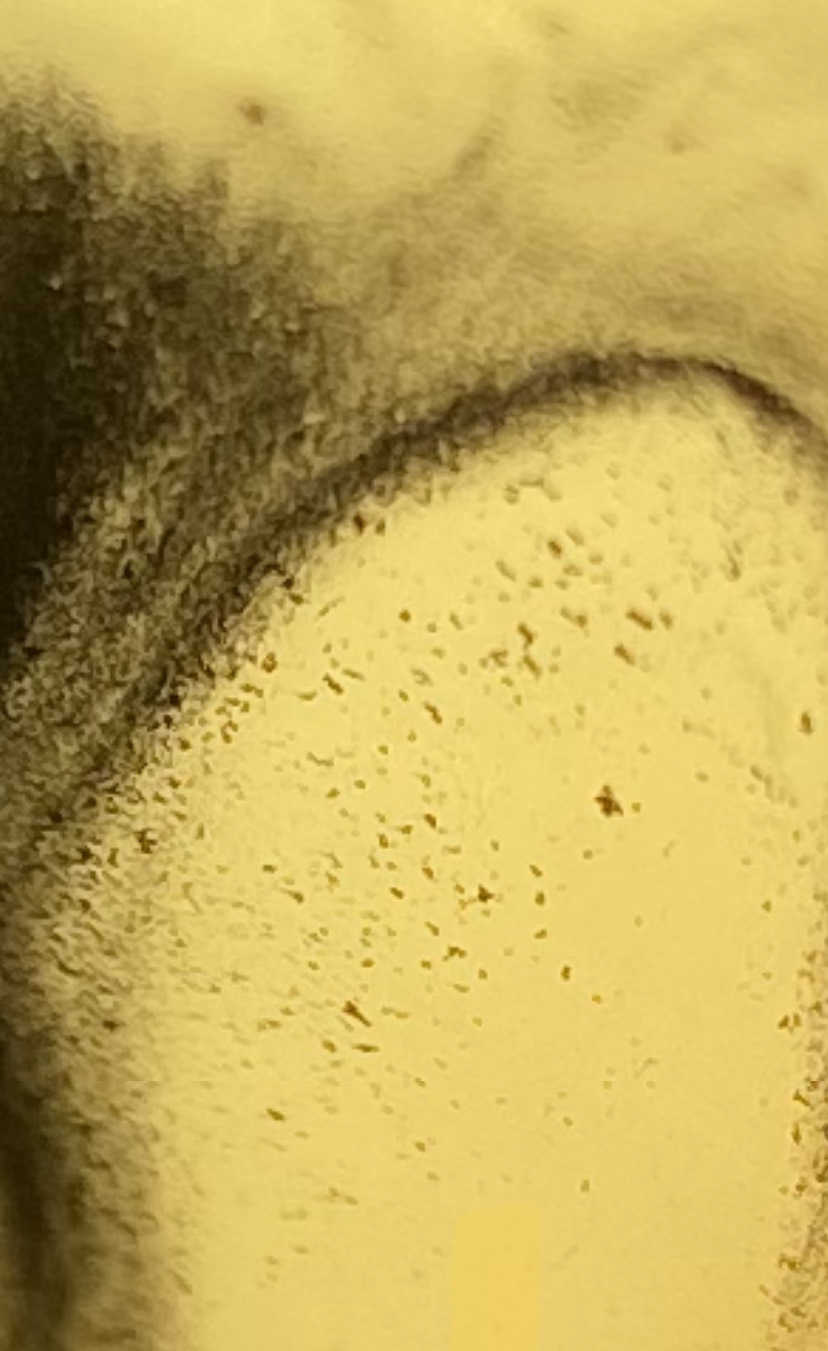 Фото в бортжурнале Volvo XC90 (1G)