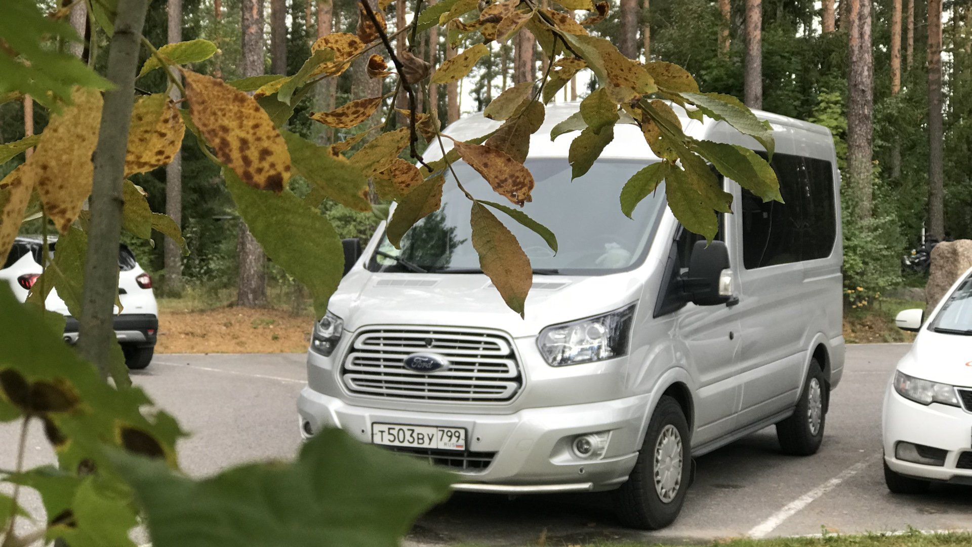 Ford transit 8g