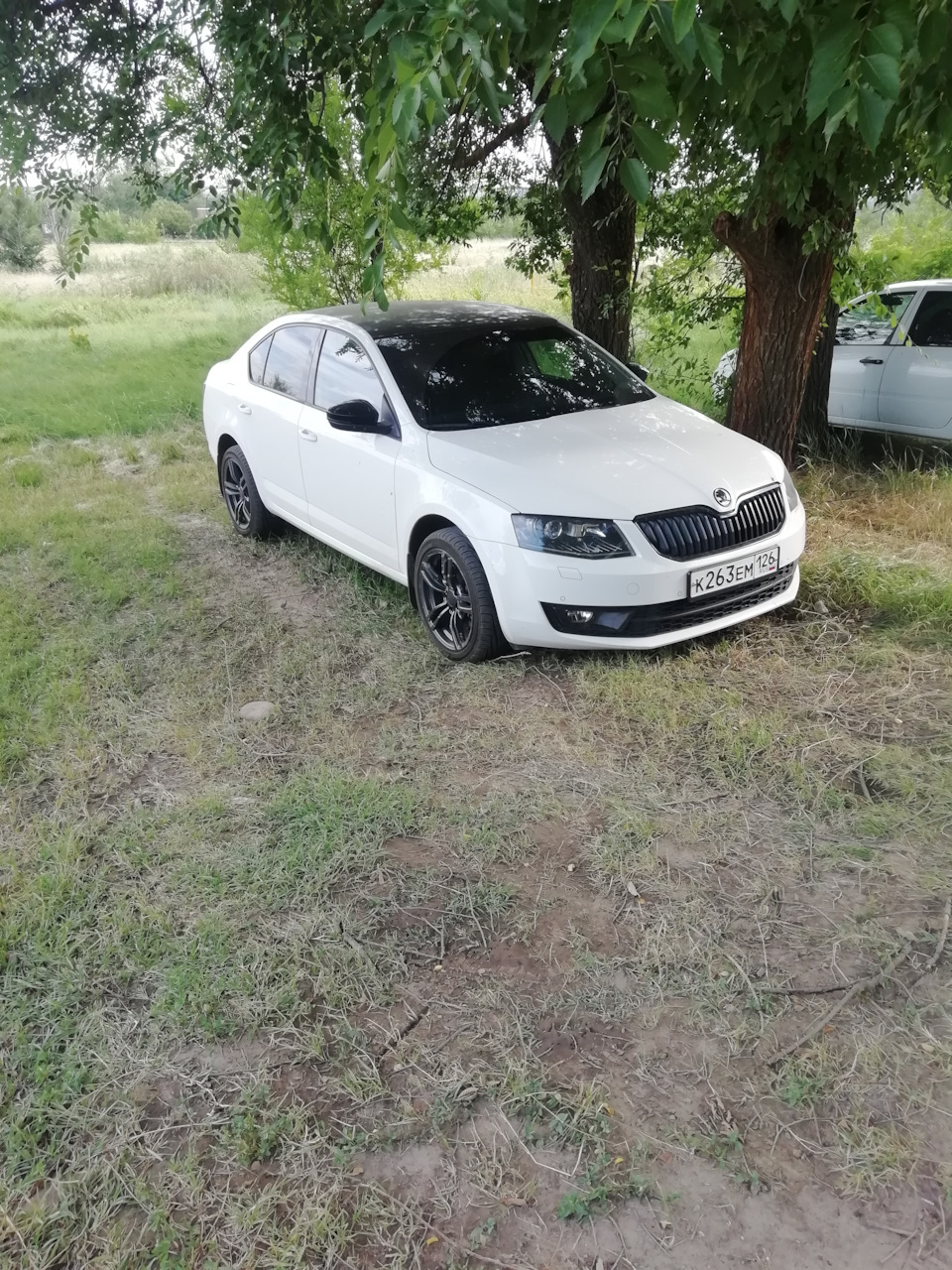 Насколько выступают диски R17*8 дюймов с вылетом ЕТ35! — Skoda Octavia A7  Mk3, 1,4 л, 2013 года | колёсные диски | DRIVE2