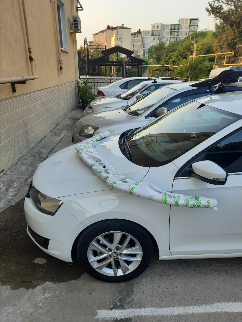 Сплиттер (губа) переднего бампера Шкода Рапид — Skoda Rapid (1G), 1,6 л ...