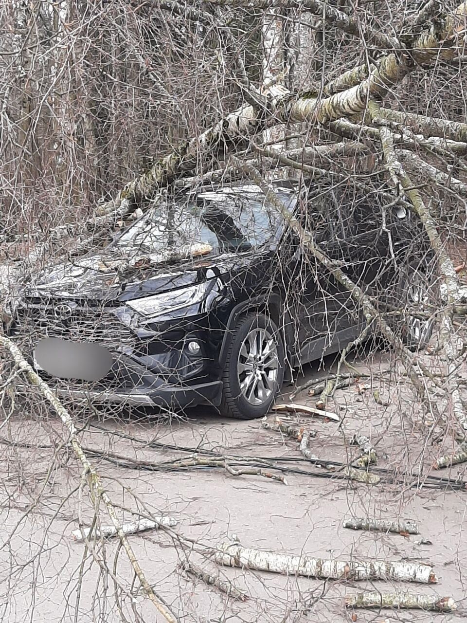 03.04.2024 : погода/ветер/дождь — Сообщество «Курилка» на DRIVE2