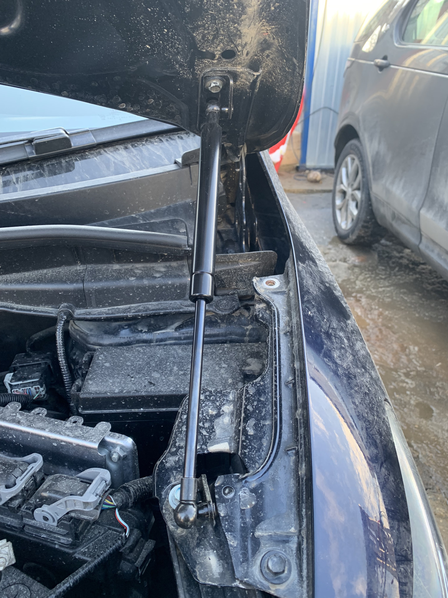 Купить Капот Хонда Шаттл