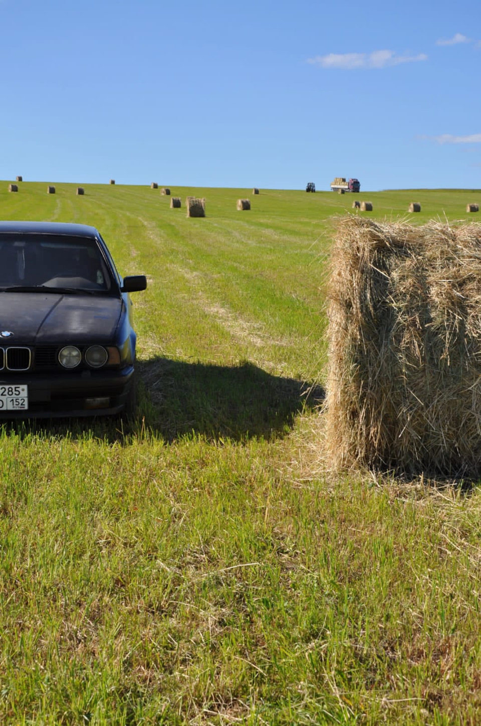 Поле, сено, автомобиль — BMW 5 series (E34), 2,5 л, 1989 года | фотография  | DRIVE2