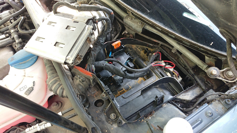 Машина перестала заводиться — решено — Audi A4 (B6), 1,8 л, 2002 года ...