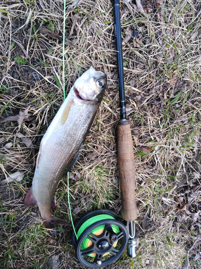 Дымогенератор за дешман — Lada 21124, 1,6 л, 2006 года | своими руками ...