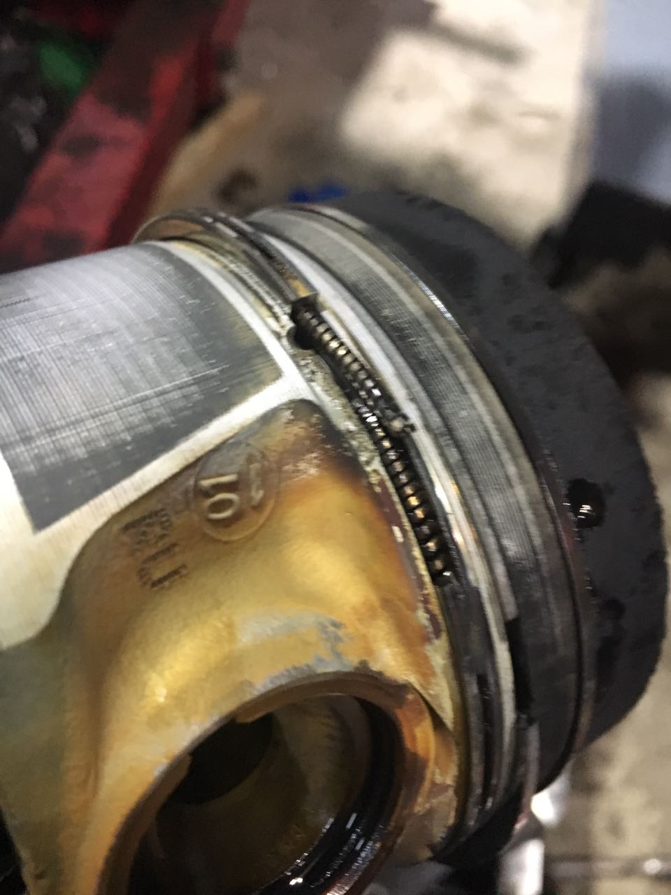 Фото в бортжурнале Volkswagen Multivan (T5)