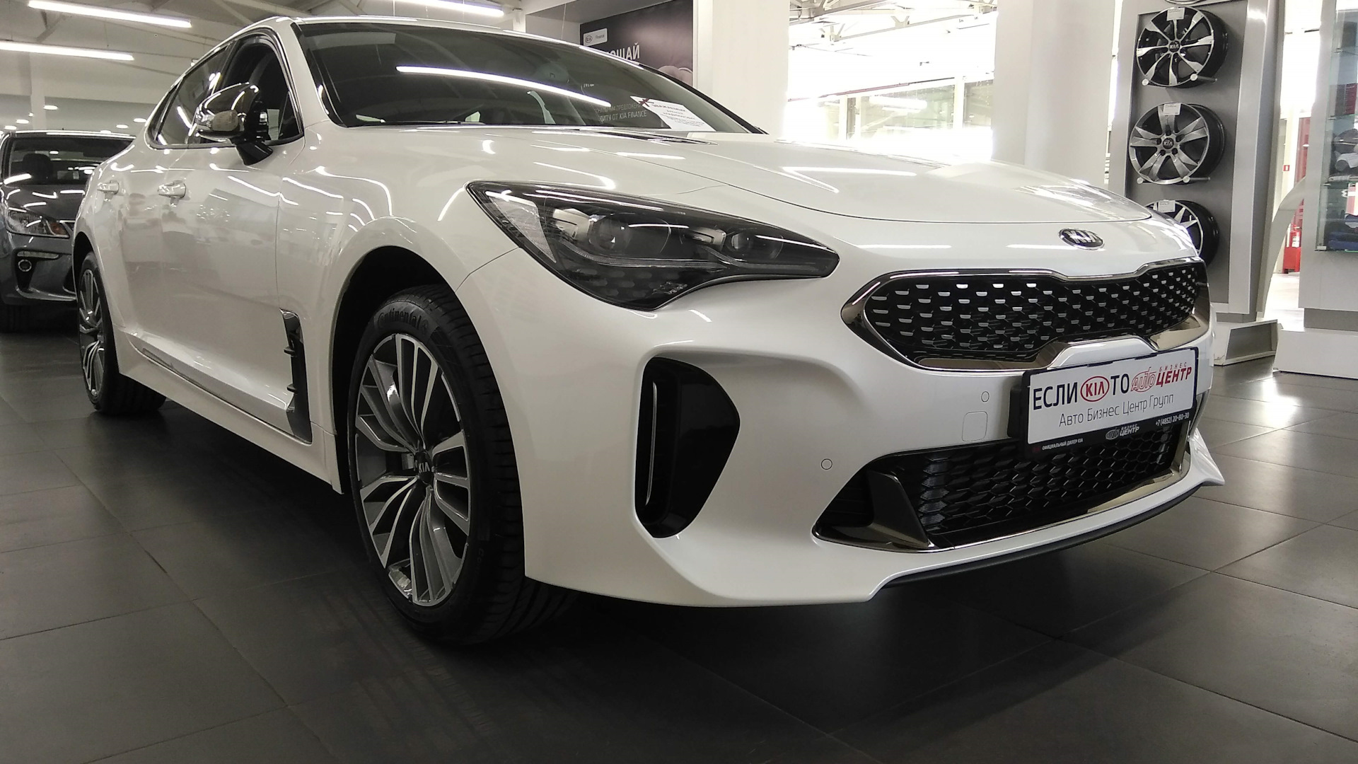 KIA Stinger 2.0 бензиновый 2019 | ЛОСЬ🦌 на DRIVE2