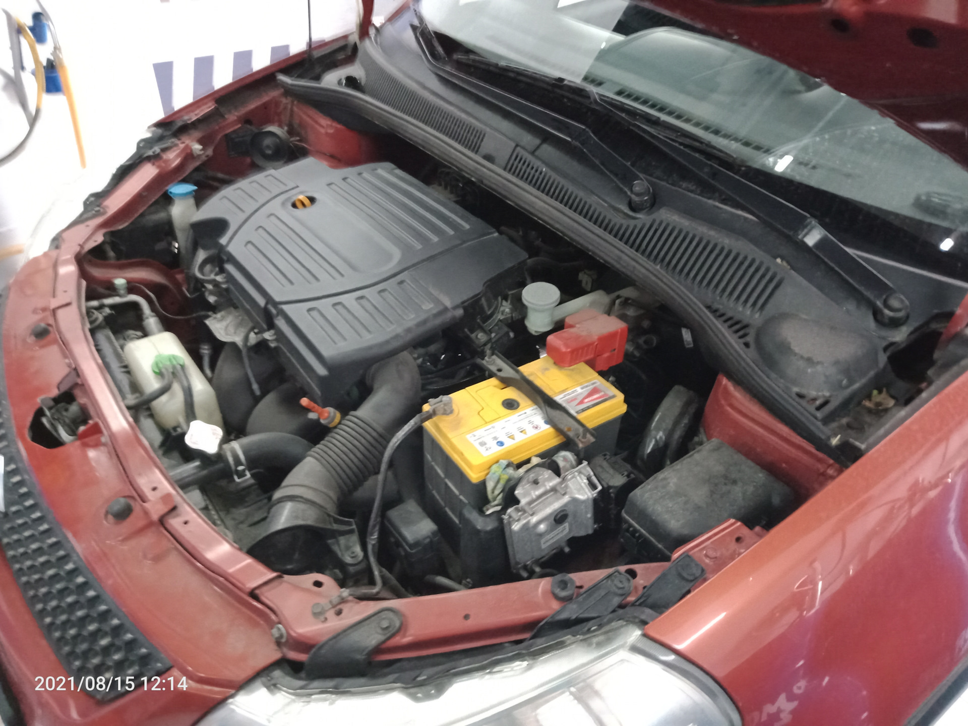 Плановая замена масла в моторе. LM 5W30. — Suzuki SX4 (1G), 1,6 л, 2010 ...