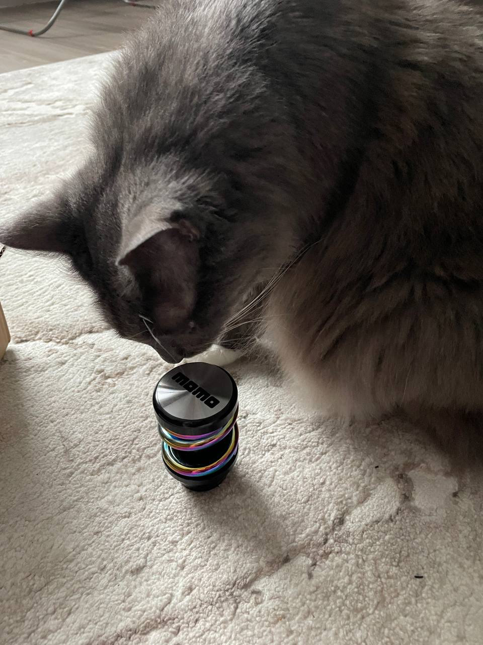 Нюхаем — Honda Prelude (BB5/BB6/BB7/BB8/BB9)