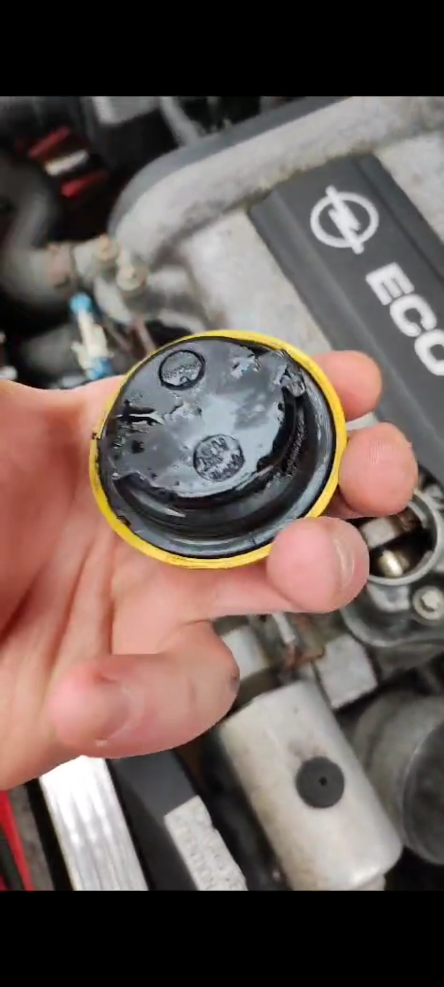 Капучиновая пенка на масляной крышке | Opel Corsa B 1.0 12v — Opel ...