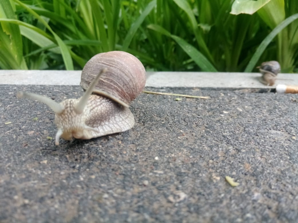 Не включается свет при включении задней передачи… — Honda CR-V (RD4 ...