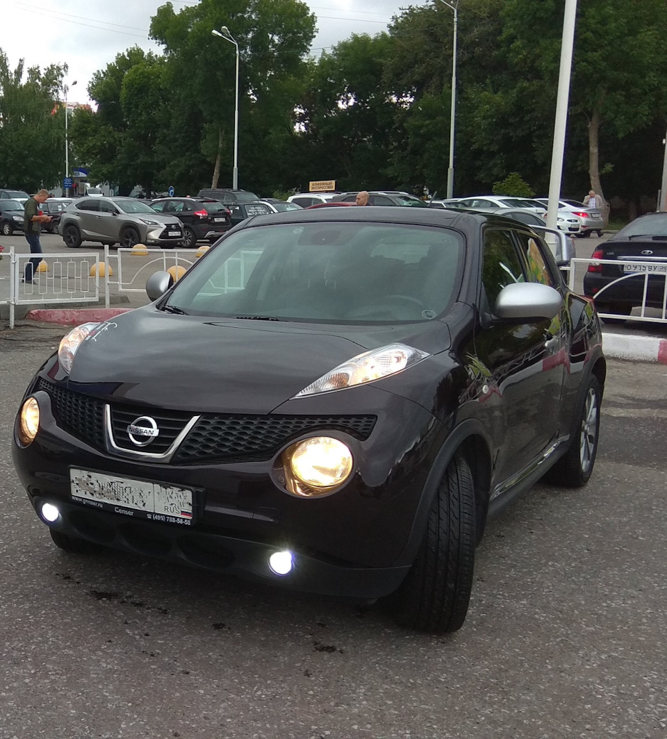 Продажа Широ — Nissan Juke (1G), 1,6 л, 2012 года | продажа машины | DRIVE2