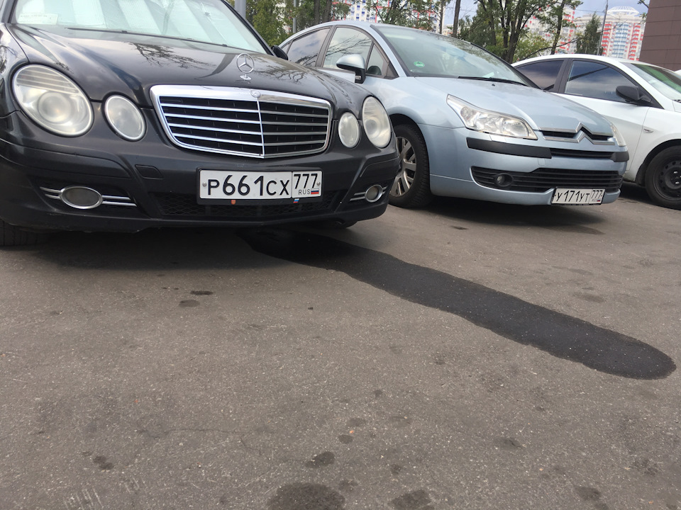 Фото в бортжурнале Mercedes-Benz E-Class (W211)