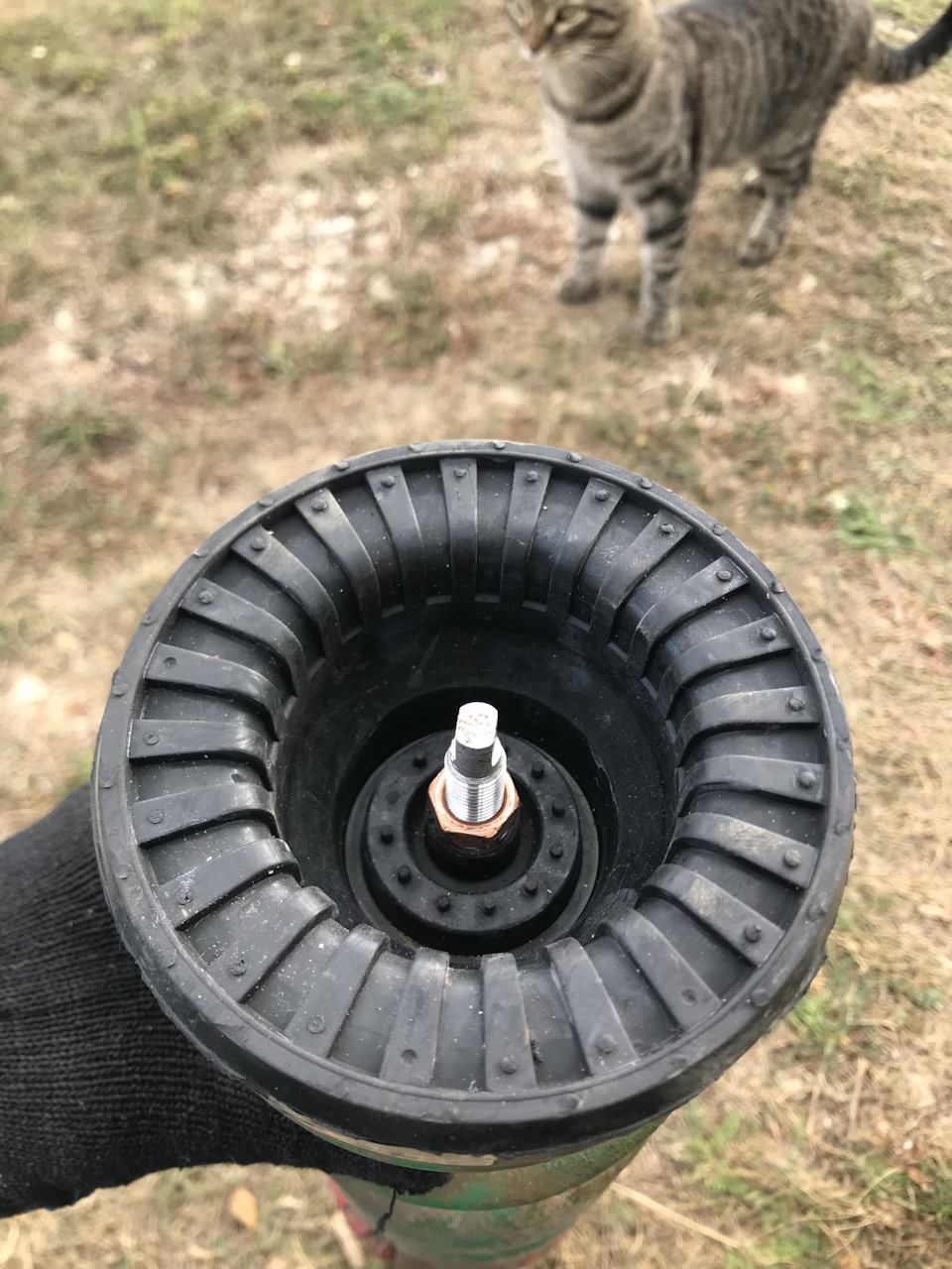 Как не устранить стуки задних стоек ВАЗ 2114 — Lada 2114, 1,5 л, 2010 ...