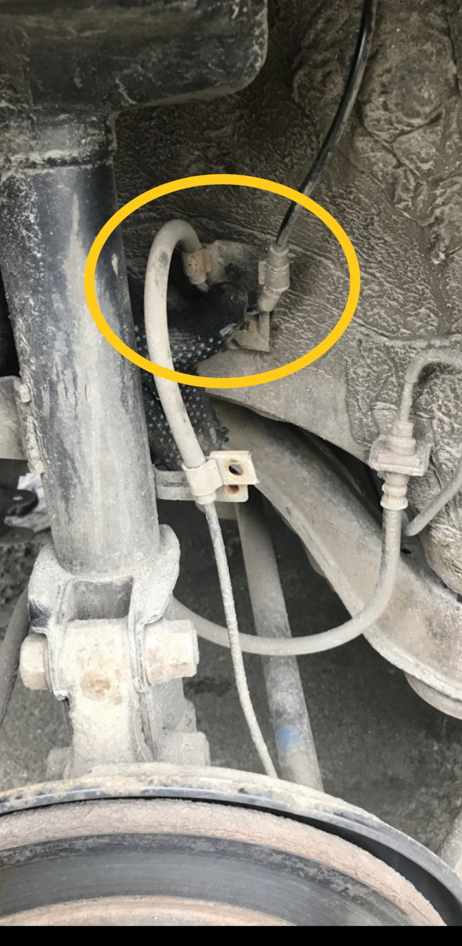 Фото в бортжурнале Toyota Venza (1G)