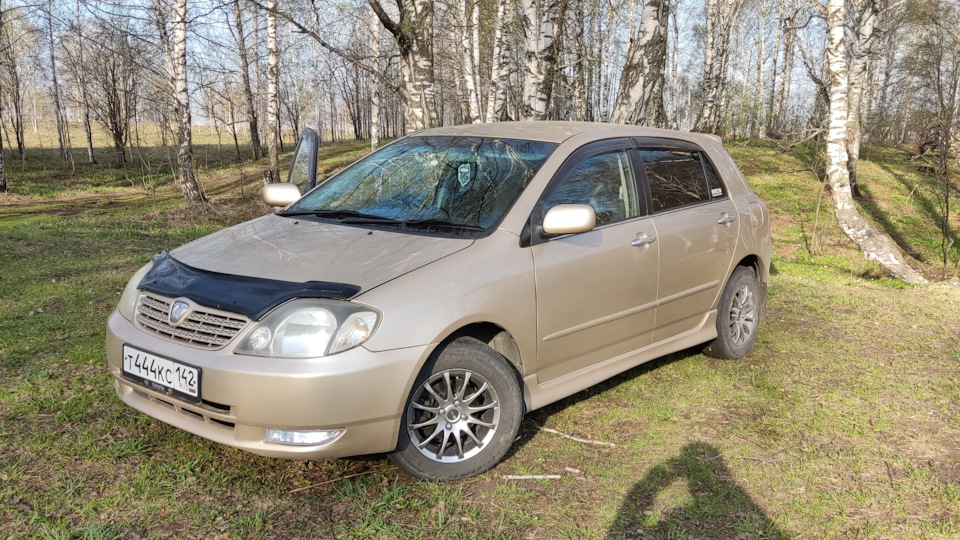 Toyota allex 2006. Тойота короба алекс. Тойота аллекс 2003 года. Тойота алекс 125 кузов. Тойота "алекс"-460.