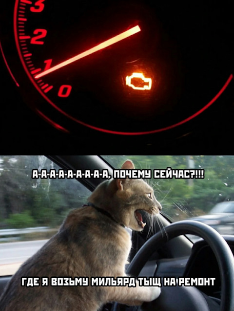 Фотография "УБОРКА ТЕРИТОРИЙ ЗВОНИТЕ НЕ ПОЖАЛЕИТЕ"