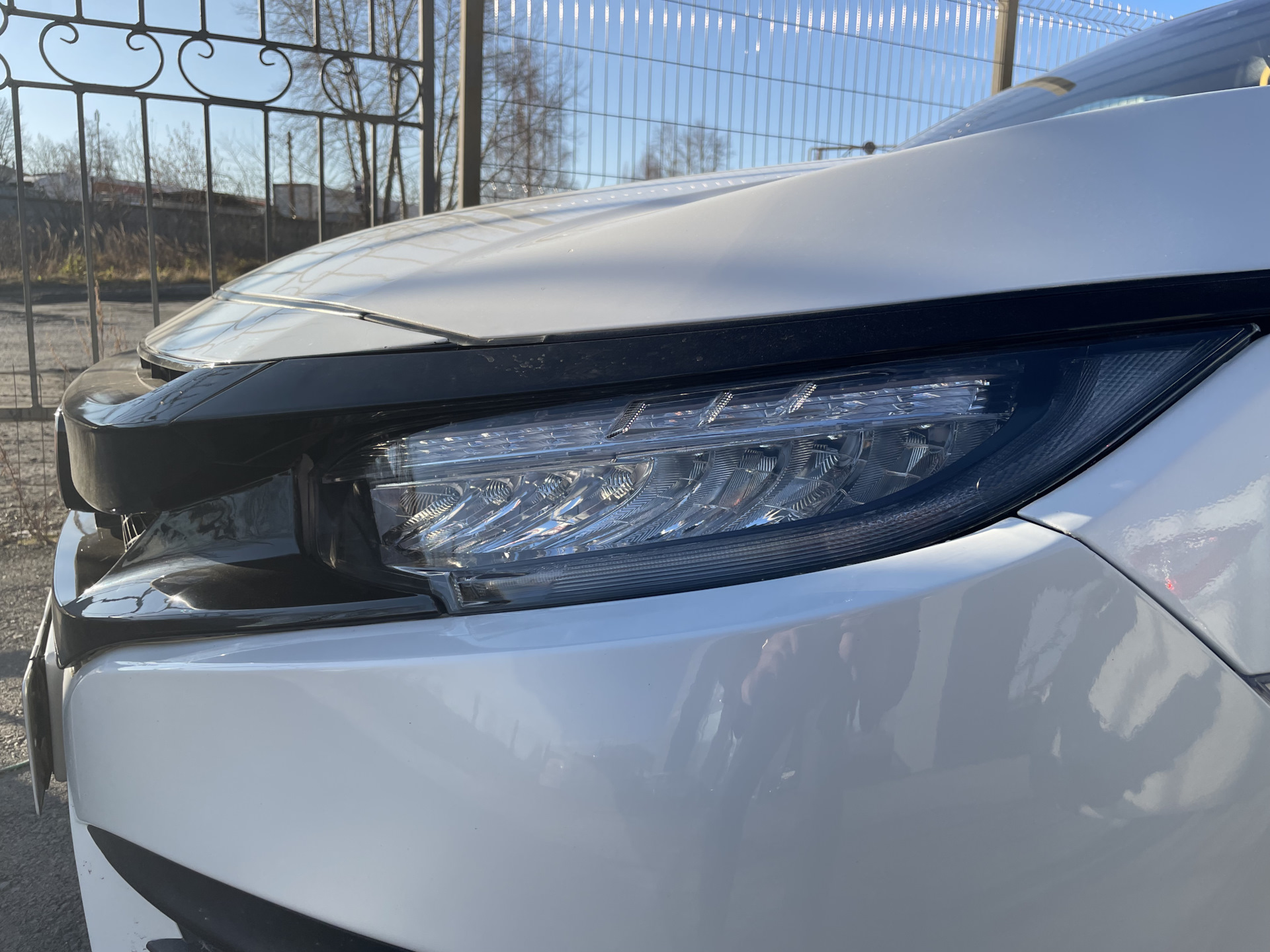 Защита оптики — Honda Civic 4D (10G), 1,5 л, 2018 года | стайлинг | DRIVE2