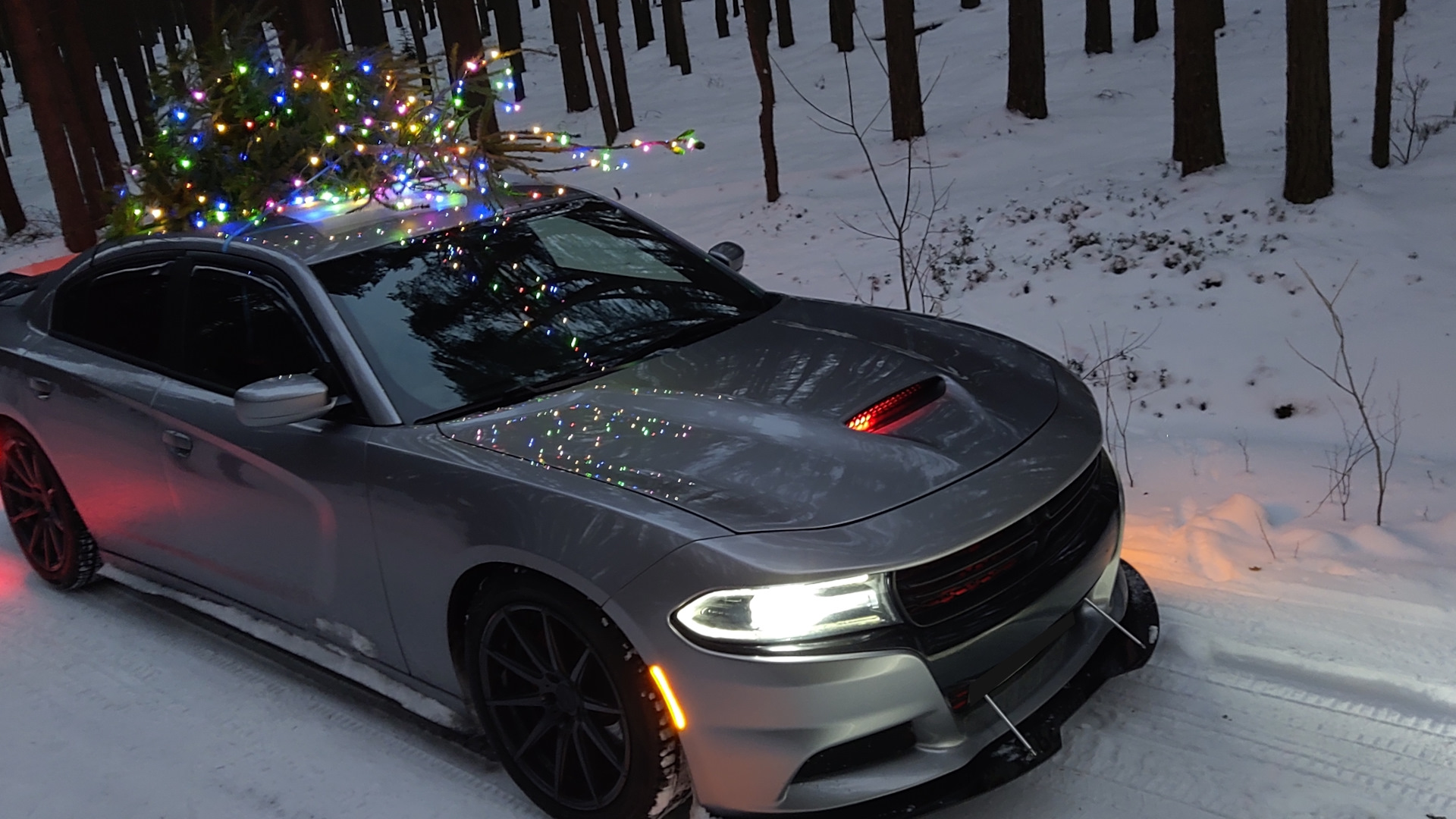 Dodge Charger (7G) 3.6 бензиновый 2017 | 