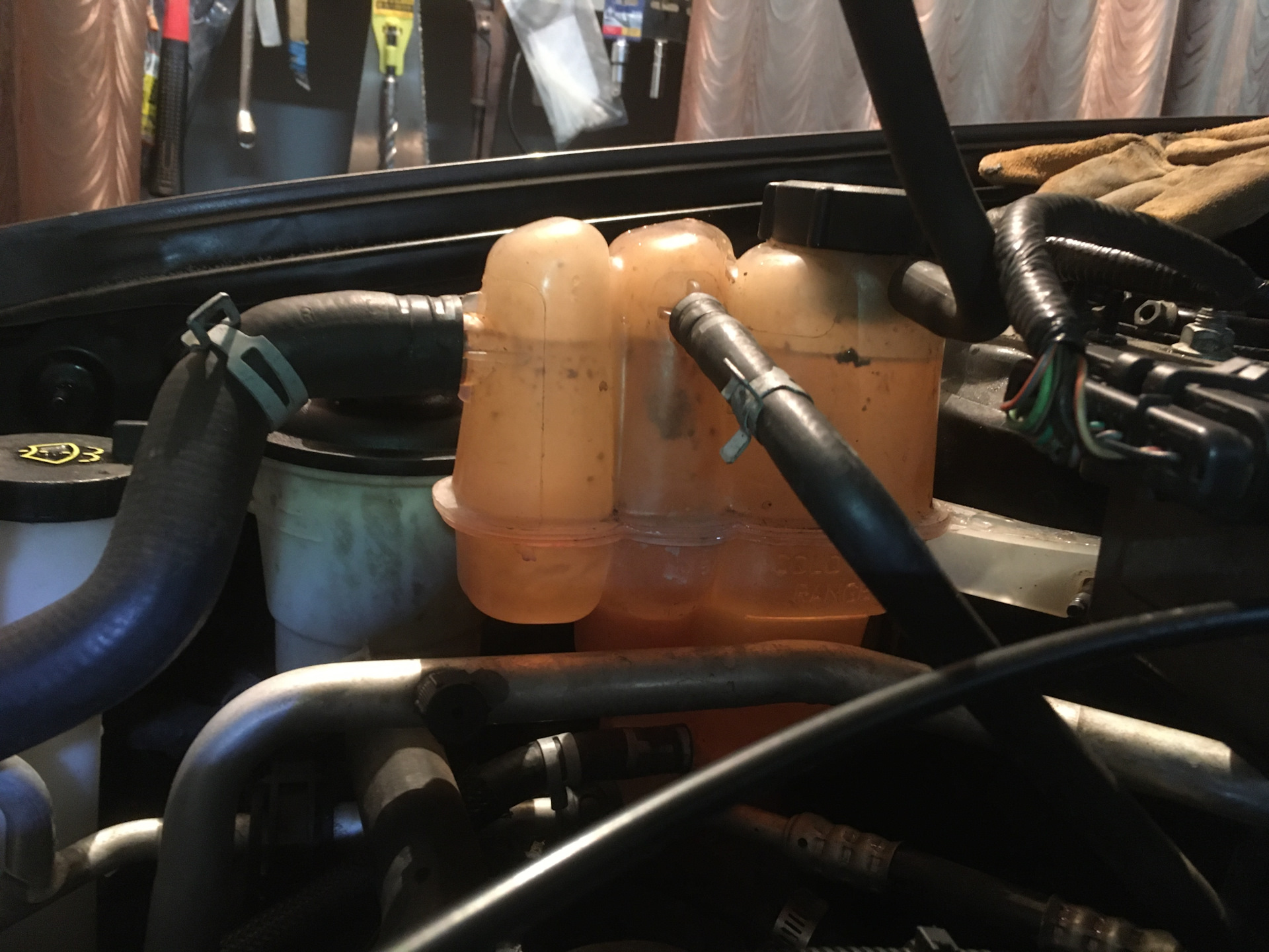 Масло в системе охлаждения, промывка ЛАВР — Ford Maverick II, 2,3 л ...