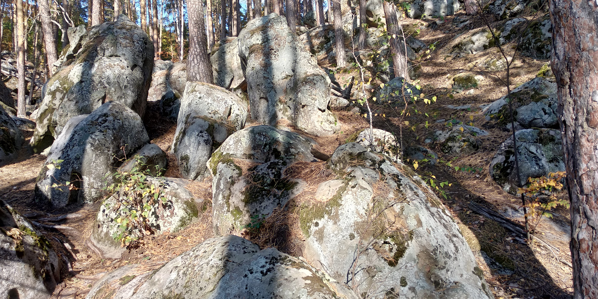 Каменный лес Рачейский Бор