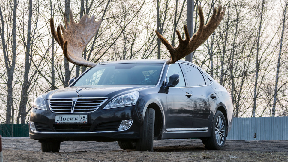 Equus vs 380 что за машина. Смотреть фото Equus vs 380 что за машина. Смотреть картинку Equus vs 380 что за машина. Картинка про Equus vs 380 что за машина. Фото Equus vs 380 что за машина