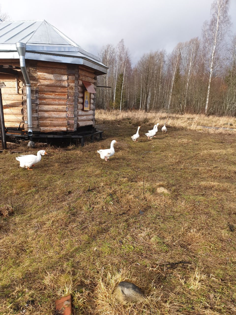 Реконьская пустынь как добраться. Смотреть фото Реконьская пустынь как добраться. Смотреть картинку Реконьская пустынь как добраться. Картинка про Реконьская пустынь как добраться. Фото Реконьская пустынь как добраться Реконьская пустынь как добраться. Смотреть фото Реконьская пустынь как добраться. Смотреть картинку Реконьская пустынь как добраться. Картинка про Реконьская пустынь как добраться. Фото Реконьская пустынь как добраться