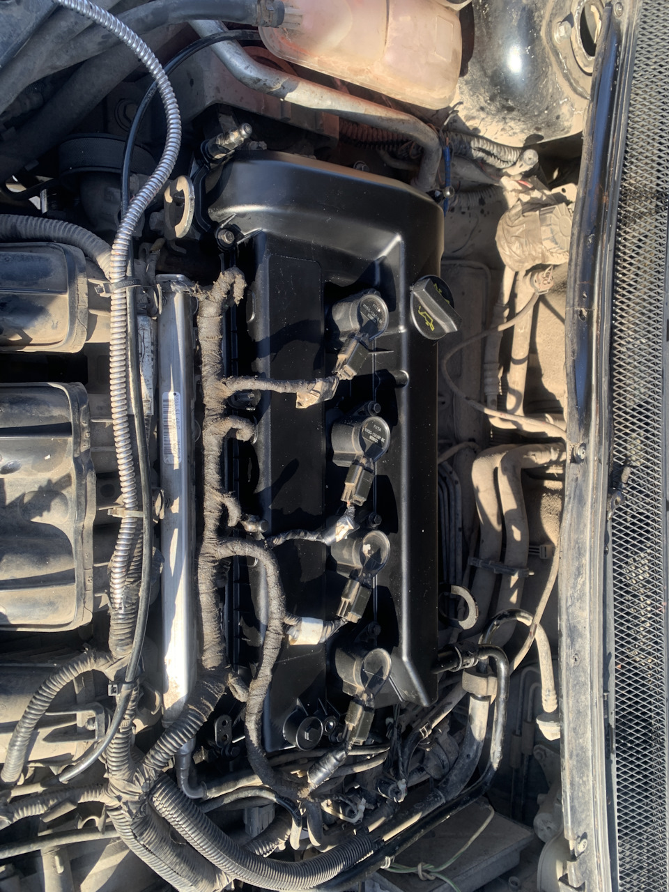 Фото в бортжурнале Ford Focus Hatchback II