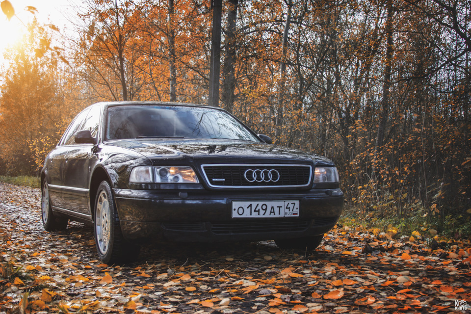 Фото в бортжурнале Audi A8 (D2)