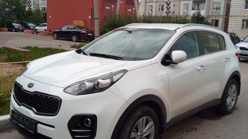 kia qle sportage