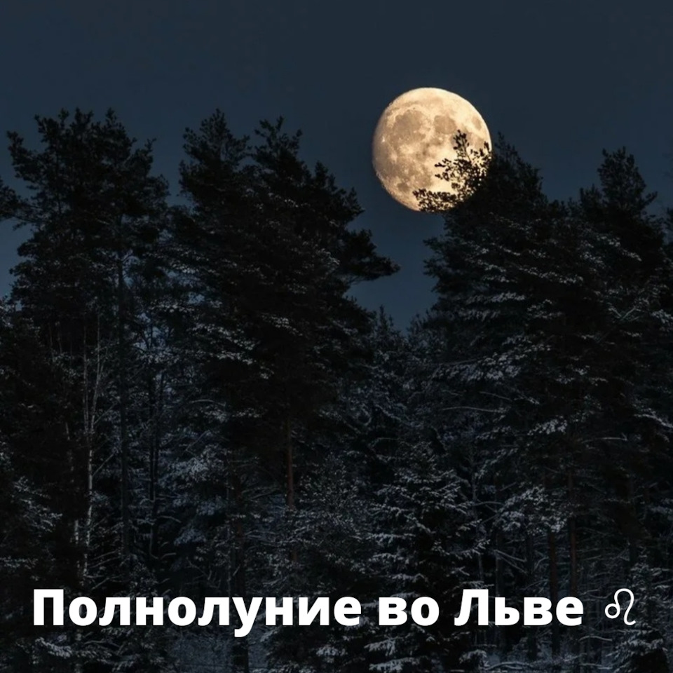 Полнолуние 5 февраля во Льве ♌ — DRIVE2